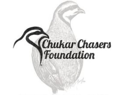 Illustration of a bird with the text "Chukar Chasers Foundation" overlaid.